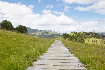 Obraz premium Wooden path at dolomite meadow