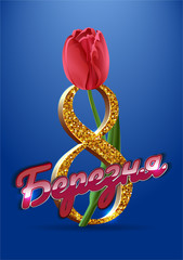 Happy women's day, March 8 greeting card. Text in Ukrainian language with tulip on blue background