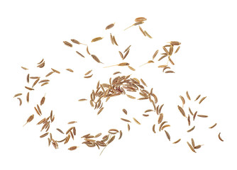 Cumin or caraway seeds isolated on white background. Top view.