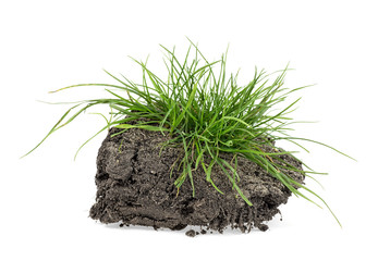 Grass with dirt isolated on white background