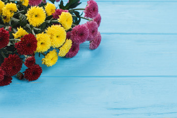 Colorful dahlia flowers close up. Red, yellow and pink. Blue wooden table surface.