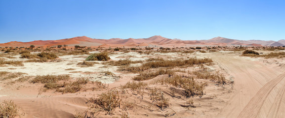 Fototapeta na wymiar Road in the Namib Desert / Road in the Namib desert to the horizon, Namibia, Africa.