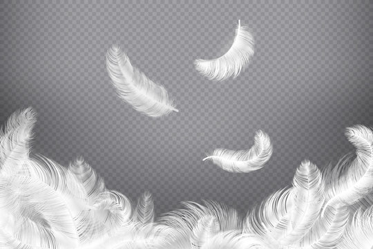 White feather background. Closeup bird or angel feathers. Falling weightless plumes. Dream vector illustration