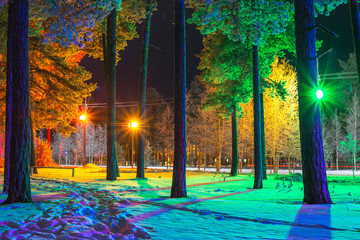 colored trees on the outskirts of the city at night