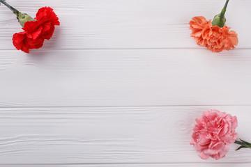 Carnation flowers on wood and copyspace. White wooden background.