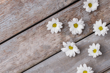 Chamomile flower heads. Top view. Old rustic wooden table.