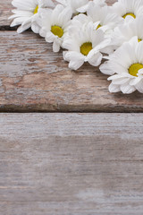 White chamomile flowers, close up. Top view. Old rustic wooden table.