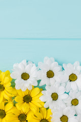 White and yellow golden-daisy flowers composition. Copyspace. Blue wood background.