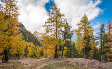 Dolomites Mountains, autumn landscape in the The Martello valley in South Tyrol in the Stelvio...
