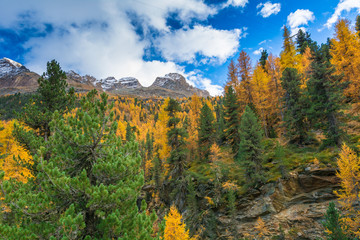 Dolomites Mountains, autumn landscape in the The Martello valley in South Tyrol in the Stelvio...