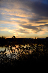 Obraz premium Sesto Calende. sunset on the river