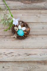 Birds nest with different bright Easter eggs, feathers and flowers. Text space