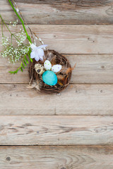 Birds nest with different bright Easter eggs, feathers and flowers. Empty text space