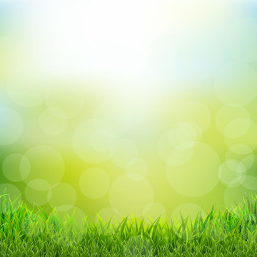 Natural Background With Grass Border