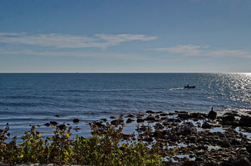 Seascape of fog morning Black Sea and flock Silver gulls or Larus argentatus relax on the coast near  ancient city  Nessebar, Bulgaria, Europe