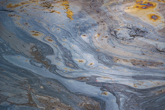 Oil Slick On Pond At The La Brea Tar Pits