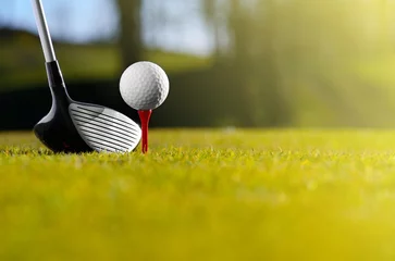 Deurstickers Golf Laten we vandaag golfen