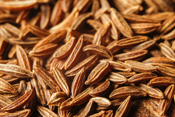 Dry cumin seeds or caraway. Extreme macro photography.
