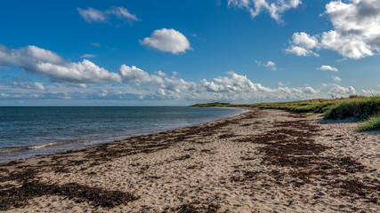 Fototapeta na wymiar North Sea Coast and the beach in Boulmer in Northumberland, England, UK