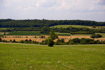 Fototapeta na wymiar Bliesgau Saarland Landschaft im Sommer 