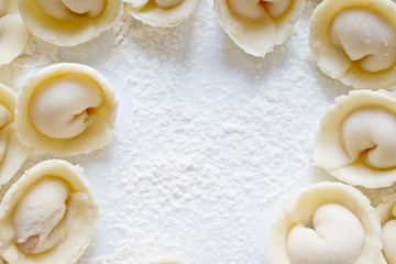 Dough made for modeling homemade ravioli, pelmeni or dumplings . Traditional Russian dish, national cuisine. Home cooking, handmade.