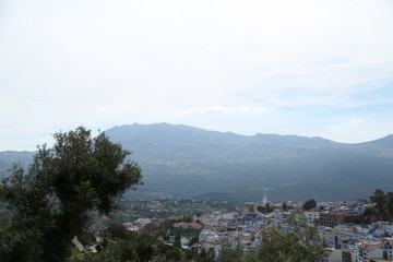 A magnificent view of Chefchaouen town in northern Morocco.