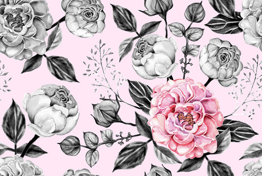 Seamless pattern pink and gray rose flowers vintage on pastel color isolated  background. Watercolor illustration hand drawn.