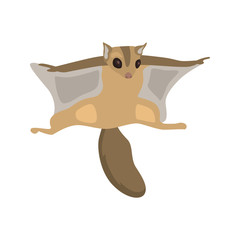 animal flat color flying squirrel icon