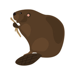 animal flat color beaver icon