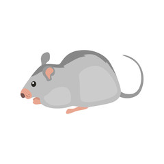 animal flat color mouse icon