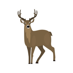 animal flat color deer icon