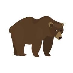 animal flat color bear icon