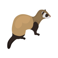 animal flat color ferret icon - 243156383