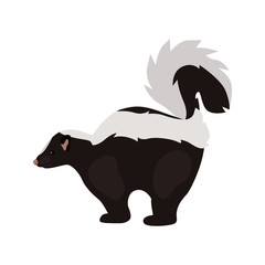 animal flat color skunk icon - 243156388