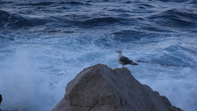 onde che si abbattono sulla costa