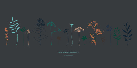 Vector silhouettes collection. Set of field flowers, herbs.