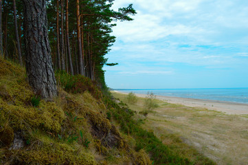 Spiagge sul Mar Baltico