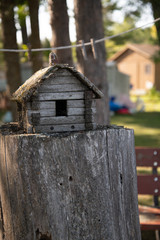 bird house