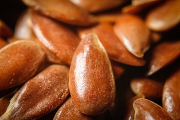 Flax seeds or linseeds. Extreme macro photography.