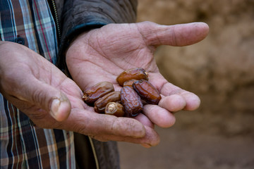 dátiles en manos marroquis