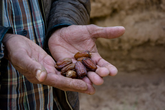 Manos de hombre marroqu&iacute; ense&ntilde;ando d&aacute;tiles reci&eacute;n cogidos