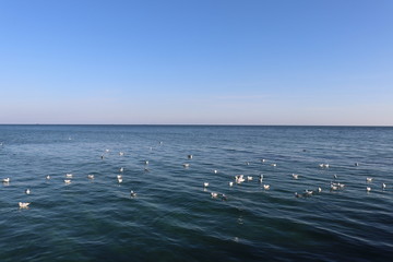 The beauty of the Black Sea