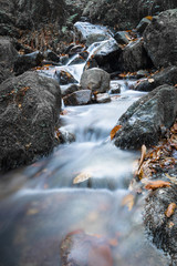 fall scenery in forest with flowing river waterfall in long exposure in selective colors