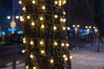 illuminated tree bark with LED lights attached to the trunk