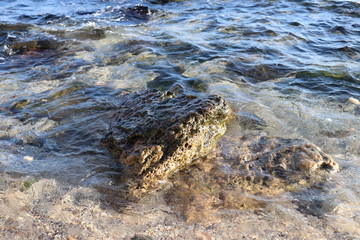 Fototapeta na wymiar Stone in the sea close up