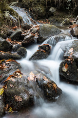 fall scenery in forest with flowing river waterfall in long exposure in selective colors