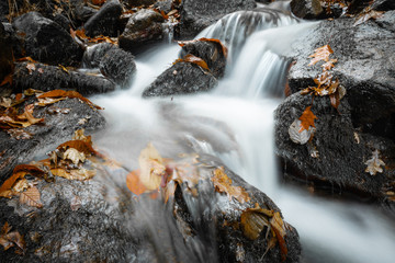 fall scenery in forest with flowing river in long exposure in selective color 