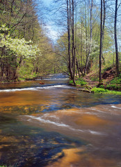 Szumy na Tanwi (Cascades on Tanew River) Roztocze, Roztoczanski Park Narodowy (Roztocze National Park), Poland