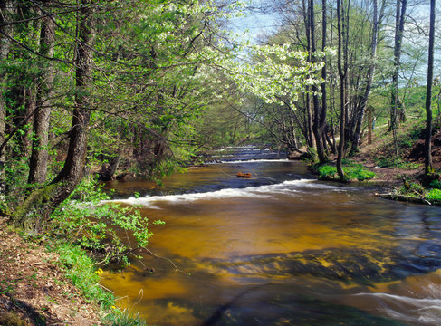 Szumy na Tanwi (Cascades on Tanew River) Roztocze, Roztoczanski Park Narodowy (Roztocze National Park), Poland