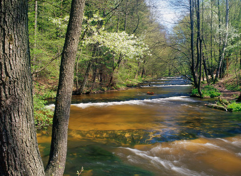 Szumy na Tanwi (Cascades on Tanew River) Roztocze, Roztoczanski Park Narodowy (Roztocze National Park), Poland